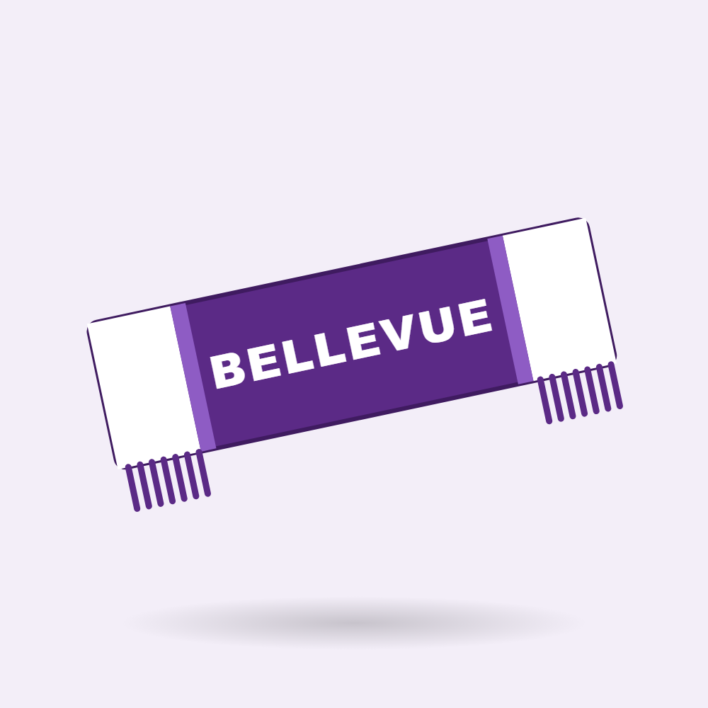 Écharpe Bellevue